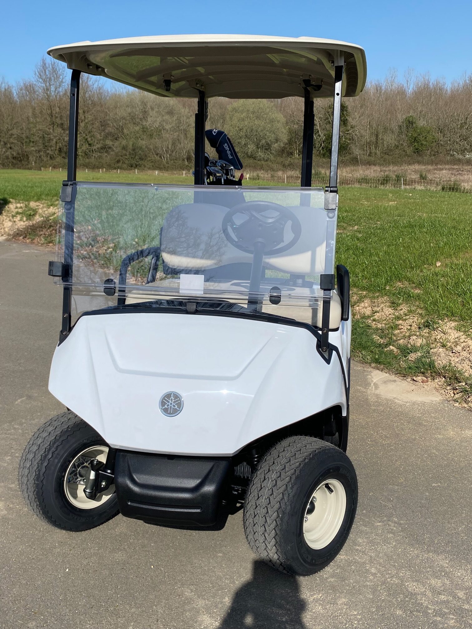 Voiturette de golf thermique - 2 places - moteur monocylindrique à soupapes en tête - faible émission et injection électronique_0