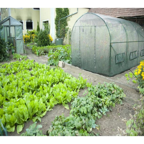 46435 - Bâche pour serre tunnel 6 m² en polyéthylène 140 g/m² - Habrita_0