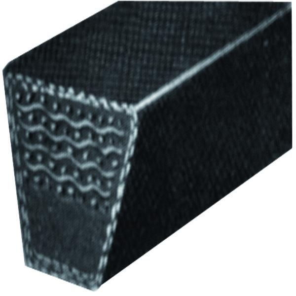 COURROIE SPA1550 13X11X1550