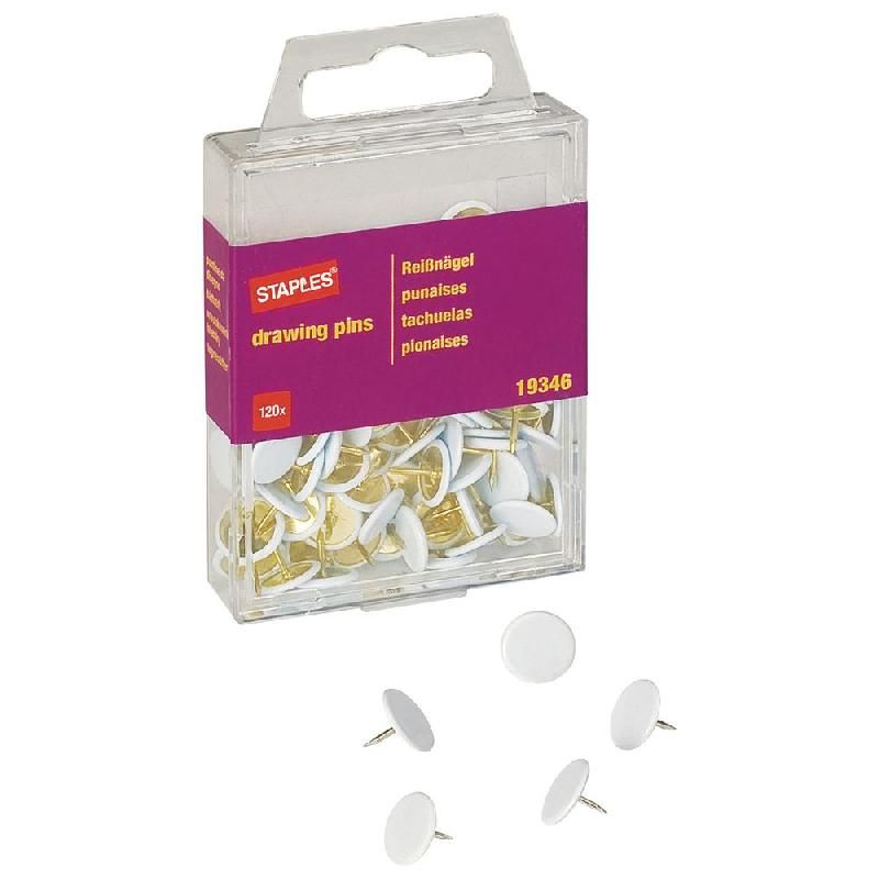 STAPLES BOÎTE DE 120 PUNAISES STAPLES - COLORIS BLANC (PRIX À L'UNITÉ)