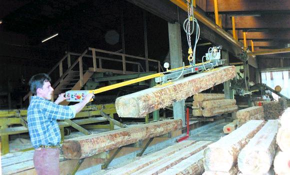 Palonnier à ventouse Vacuwood - Manipulation du bois jusqu'à 500 kg et 12 000 mm_1