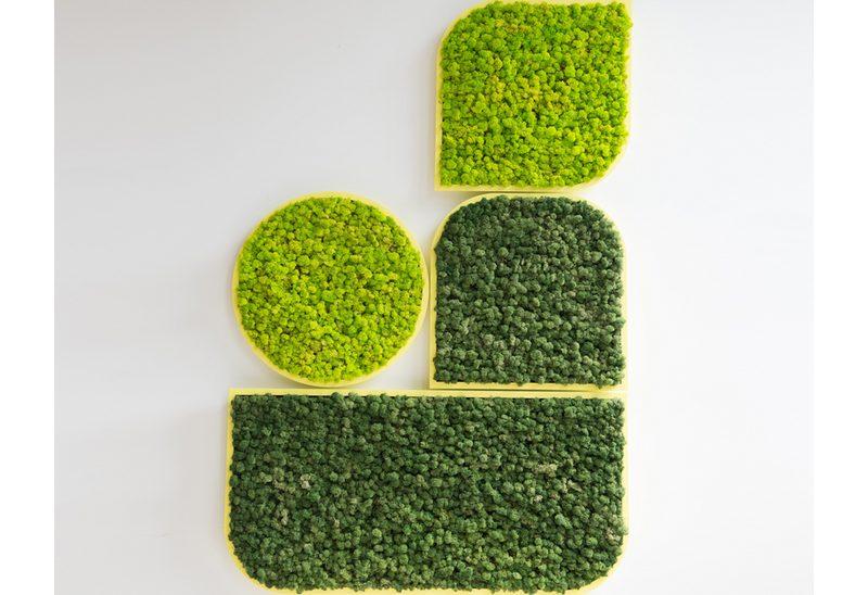Panneau acoustique végétal BuzziMood_0