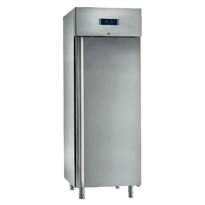 Armoire de maturation pour viande 1 porte capacité grille GN 2/1 (Type de porte: Pleine Réf - VIANDE1PG-12)_0