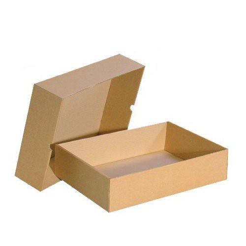 BOÎTE CLOCHE KRAFT 480 X 310 X 50 MM PC10 BC48315