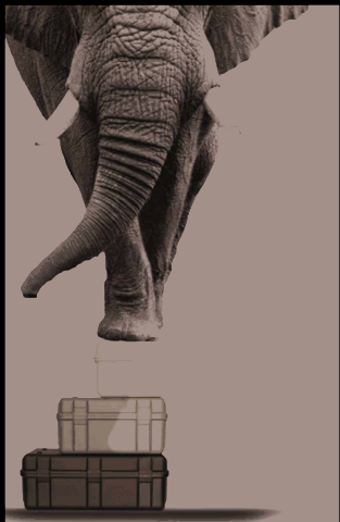 Valise militaire rigide et étanche EG Box - ultra-résistante pour produits sensibles_0