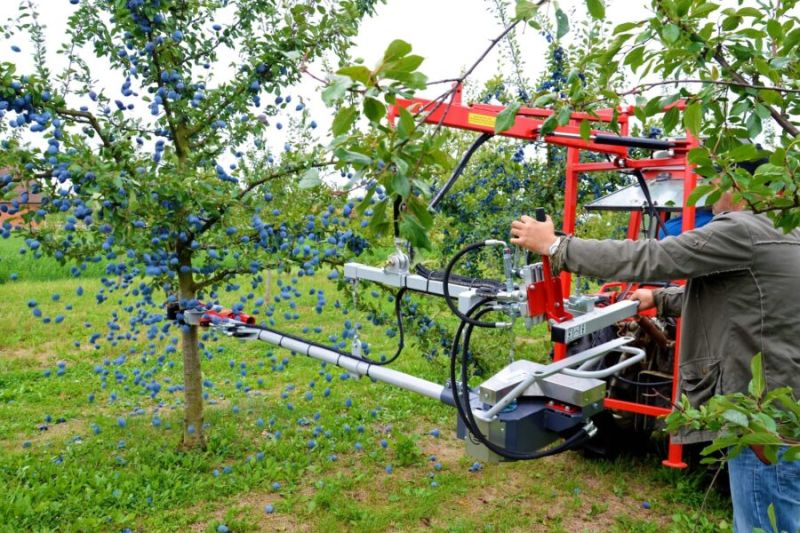 Pestka - vibreur d'arbre fruitier - arcusin - longueur de travail : 3280 mm_0