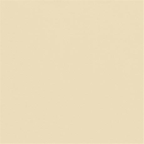 NAPPE SPUNBOND NON-TISSÉ PRÉ-DÉCOUPÉE 120CM 60 G/M² 1.20X50.4 M PP CRÈME