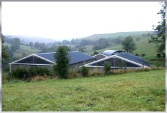 Charpente métallique pour l'élevage de veaux de boucherie_0