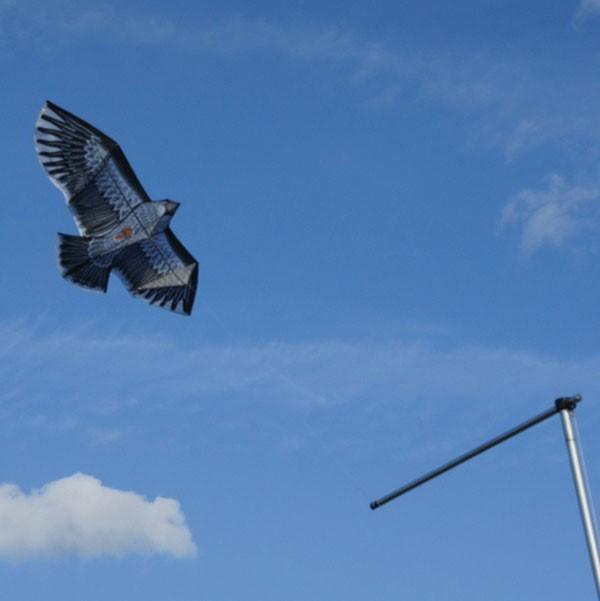 Cerf-volant effaroucheur rapace - Mât seul_0