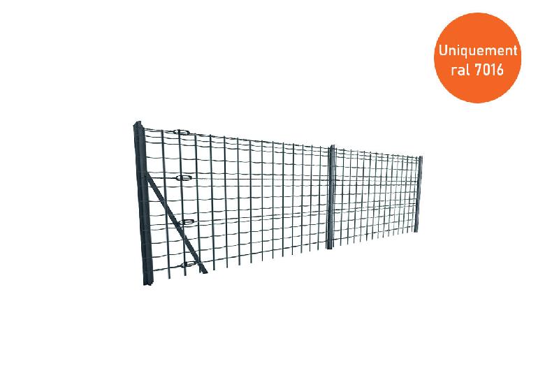 Grillage soudé maille 100x50mm Ral 7016 - 1000_0