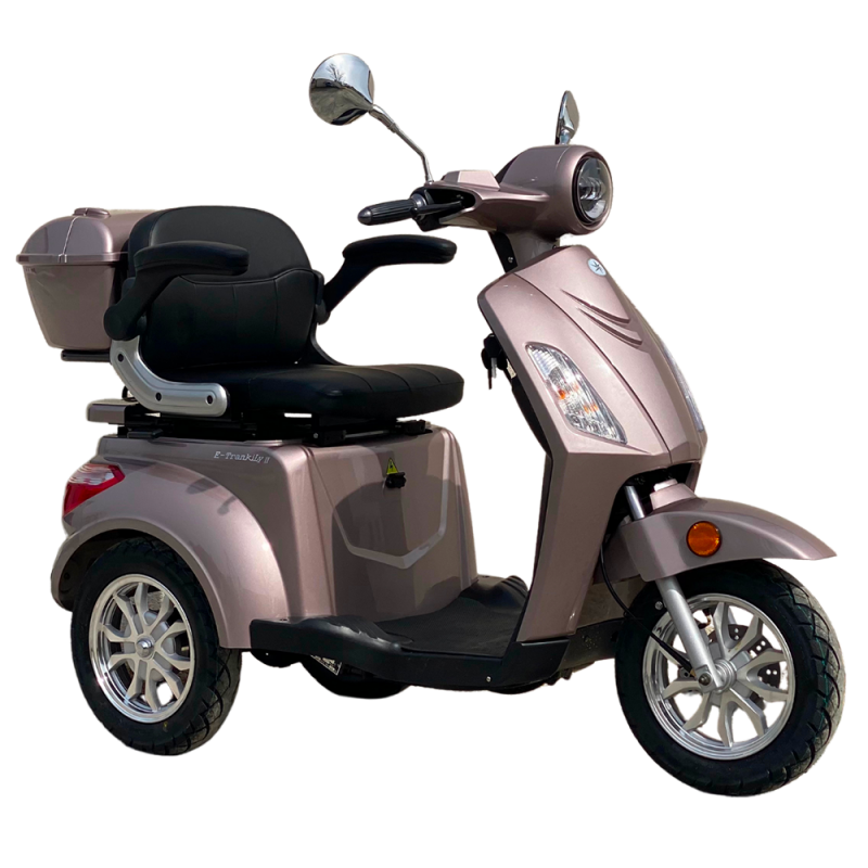 Scooter électrique 3 roues E-Trankily homologué route - design rétro-contemporain et autonomie 50 km_0