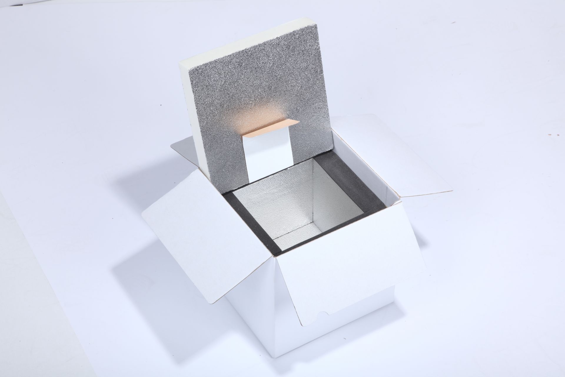 Caisson isotherme delema packaging standard_0