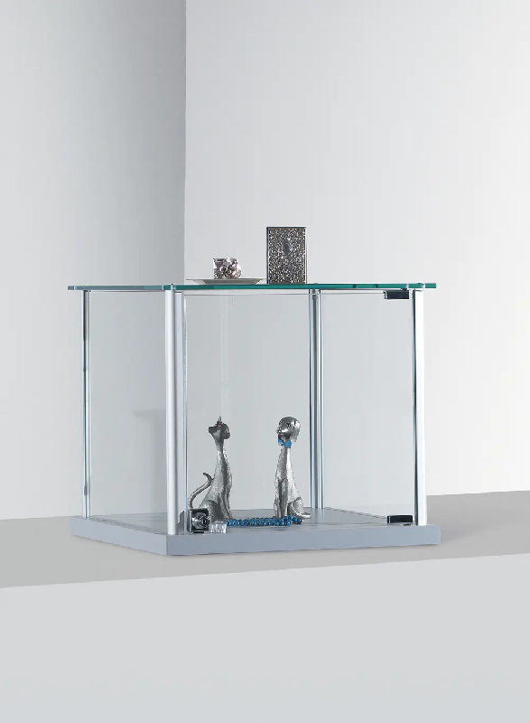 Petite vitrine 6-tvva_0