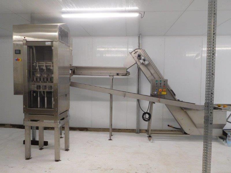 Presse-agrume électrique en acier inoxydable - Jus d'oranges, citrons et mandarines - 3 têtes d'extraction pour fruits de Ø 50 à 90 mm_0