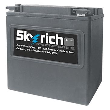 Skyrich batterie au lithium-ion super performance hjvt-2-fpp - kimpex_0