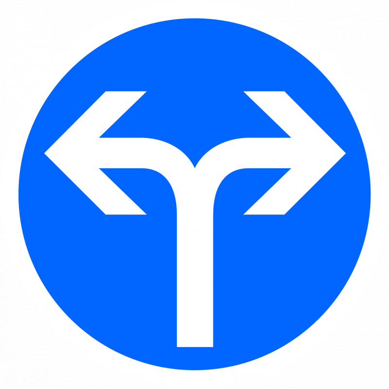 Panneau de direction obligatoire B21E - À droite ou à gauche - signalisation routière_0