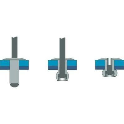 ECROU À SERTIR STANDARD TÊTE PLATE ACIER/ACIER (Ø X L) 3 MM X 6 MM 500 PIÈCES BRALO