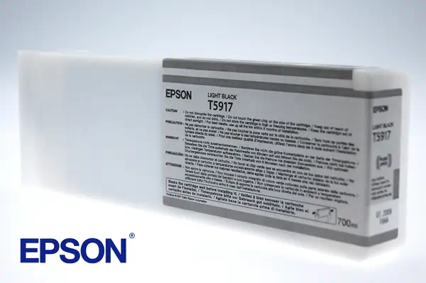 Epson Encre Pigment Gris Clair SP 11880 (700ml)_0
