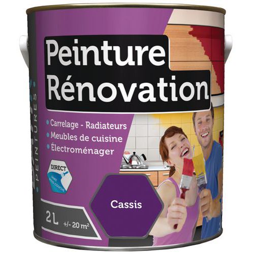 PEINTURE RENOVATION SATIN BATIR - 2L CASSIS