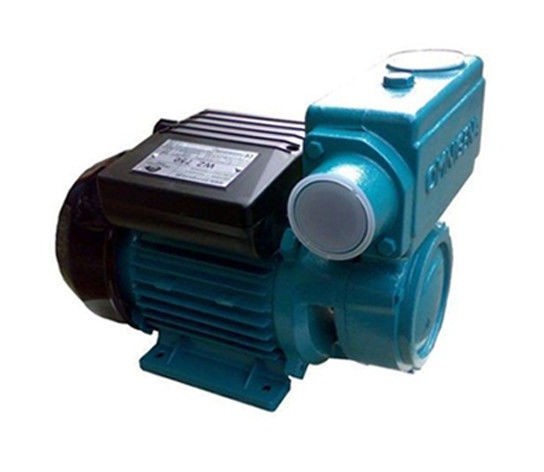 Pompe Darrosage Pompe De Jardin Pour Puits 750 W 48lmin Pompe à Eau De Surface Omni