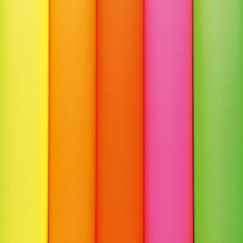 Clairefontaine Paquet filmé de 25 feuilles de papier Affiche fluo, 90 g/m², 0,60m x 0,80m, coloris assortis - multicolore 93820C_0