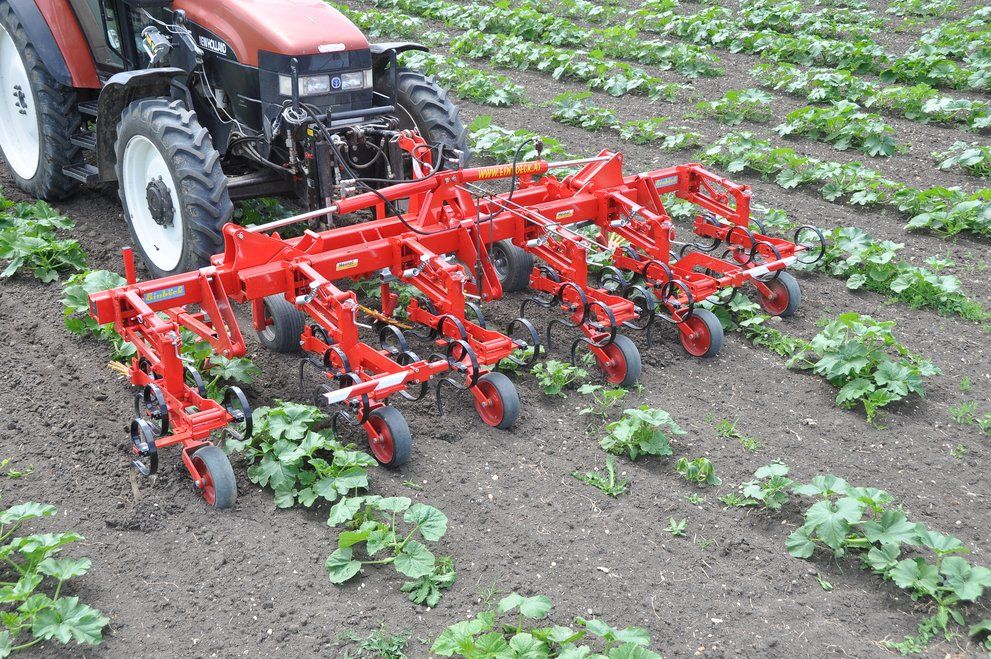 Bineuse agricole CHOPSTAR 10-150 - Einboeck - Inter-rangs jusqu'à 150 cm avec dent vibro_0