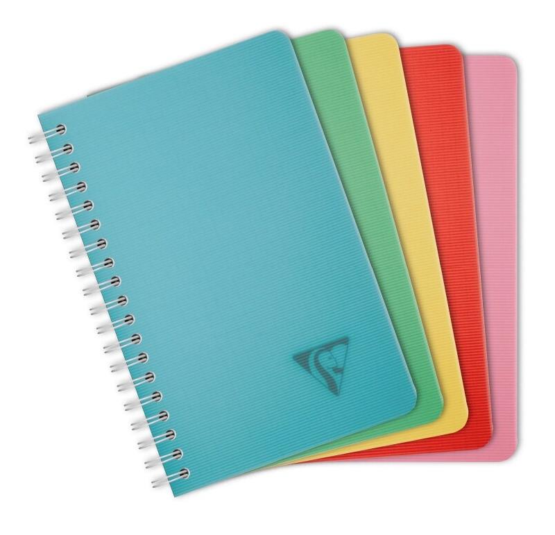 Clairefontaine Lot de 10 Carnet Linicolor Essence 11x17, 100p./50 feuilles 90 g/m² reliure intégrale, couv. Polypro assortis, quadrillé 5x5 - 33296_0