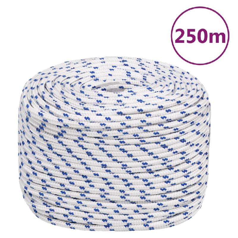 Vidaxl corde de bateau blanc 6 mm 250 m polypropylène 152287_0