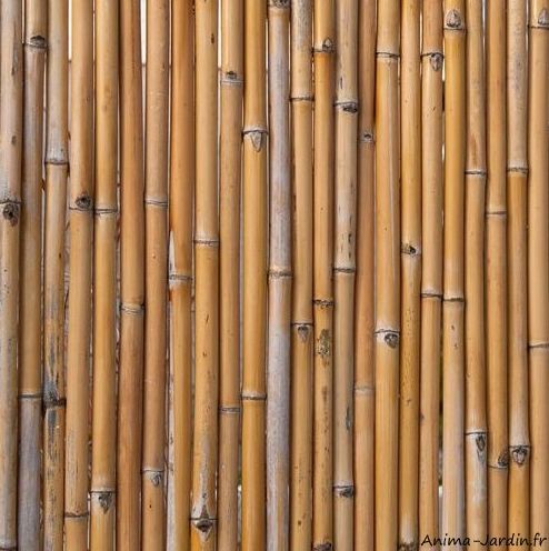 Clôture de bambou, 100% occultant, anima-jardin_0
