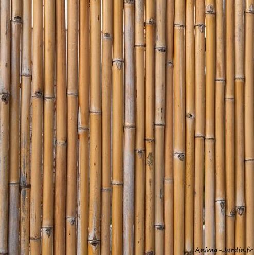 Clôtures japonaises en bambou