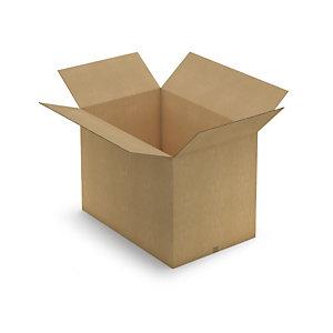 CAISSE CARTON BRUNE TRIPLE CANNELURE RAJA 117X77X84 CM