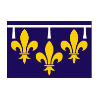 DRAPEAU ORLÉANAIS : DIMENSIONS - 50 X 75 CM