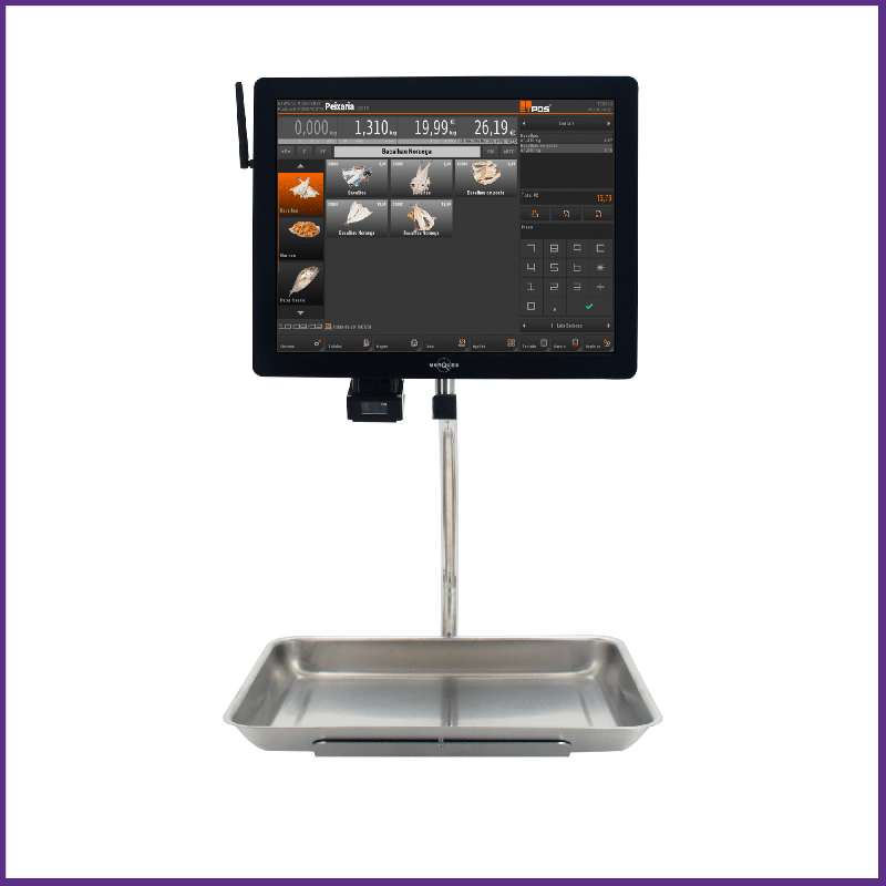 Balance Suspendue BM5 - Écran LCD 12.1