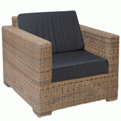 Balayeuse - Largeur 1.00 m - Attelage boule diam. 50 mm - Bac de ramassage 150L_0