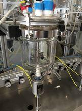 Réacteur de laboratoire de 2 litres - couvercle PTFE - agitation Inox_0