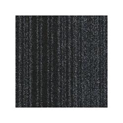 Tapis d'entrée Twinmat anthracite 100 x 150 cm - 95% polyamide - 9 mm d'épaisseur - BTB 3120900554698_0