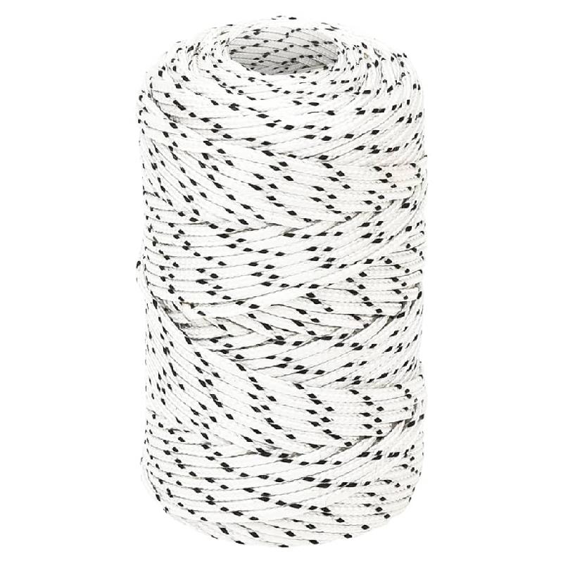 Vidaxl corde de bateau tressé blanc 2 mmx500 m polyester 152745_0