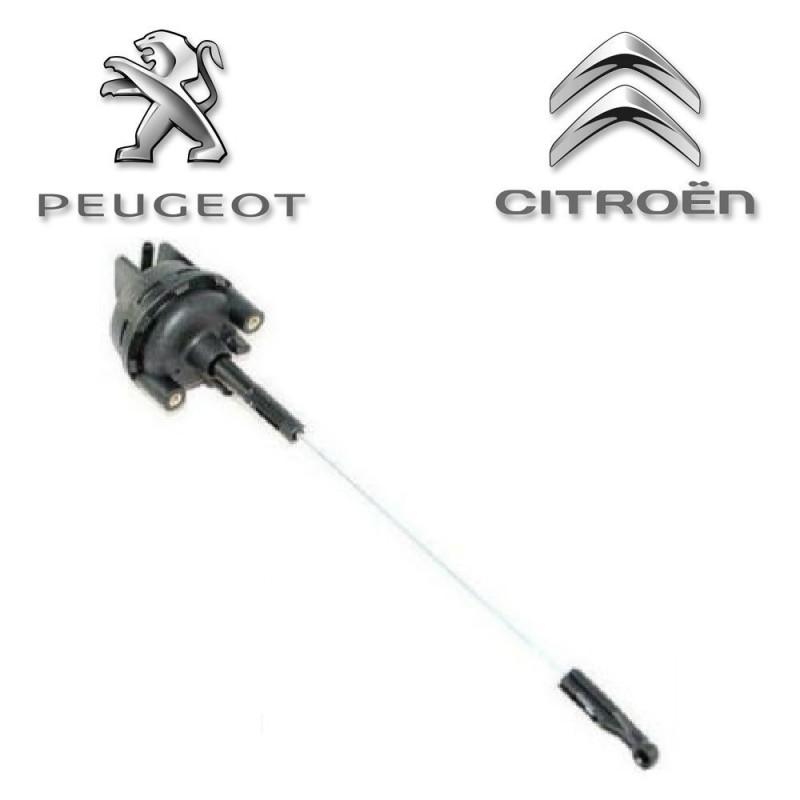 1616394580 citroen peugeot
