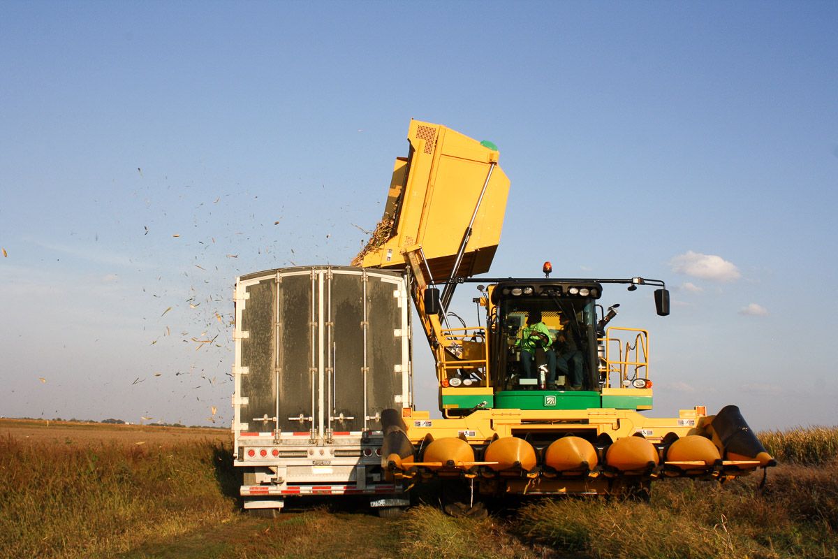 Arracheuse oxbo 2460 - oxbocorp - longueur sans tête 8.53 m - largeur 3.43 m_1