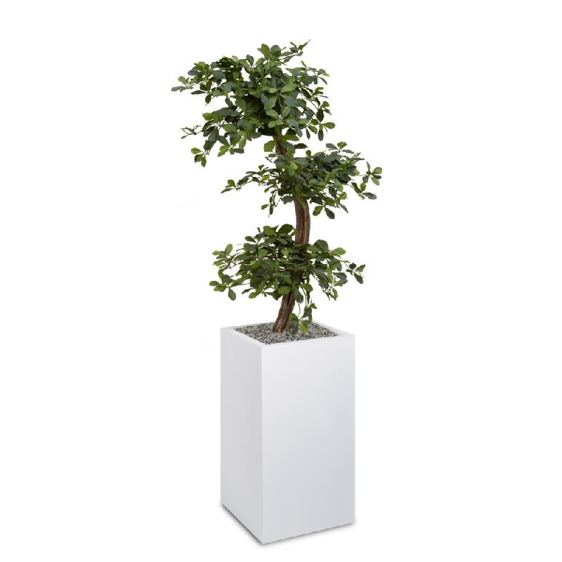 Bonzai haut artificiel o'carré h 181 cm_0