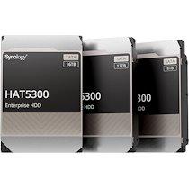Synology HAT5300-16T disque dur 16 To 7200 tr/min 512 Mo 3.5