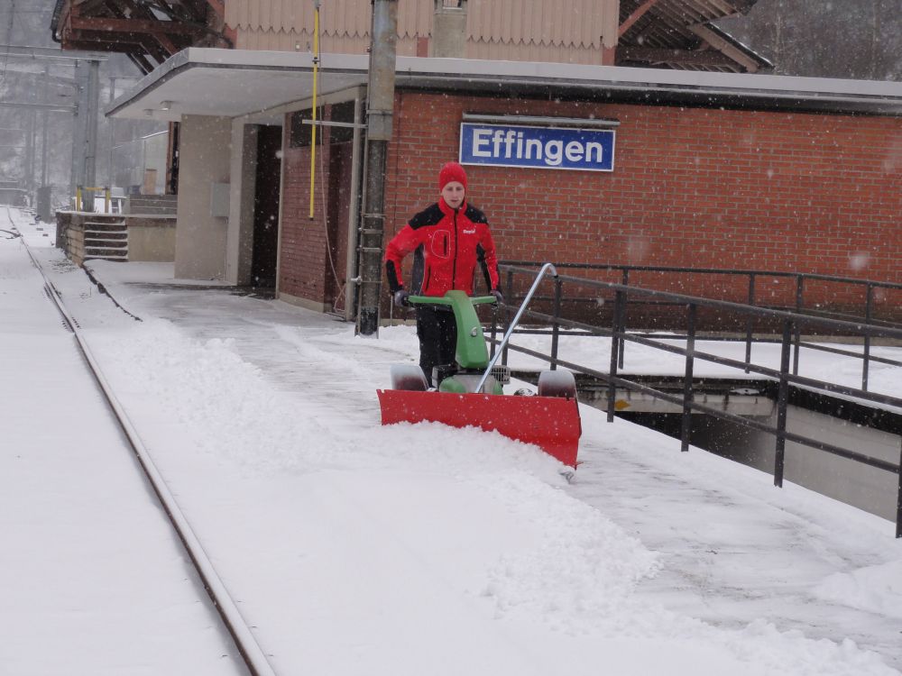 RS30 Lames à neige_1