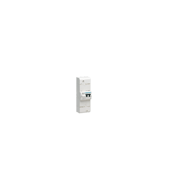 HAGER DISJONCTEUR BRANCHEMENT DIFFÉRENTIEL 2P 30/60A 500MA INSTANTANÉ HDB260