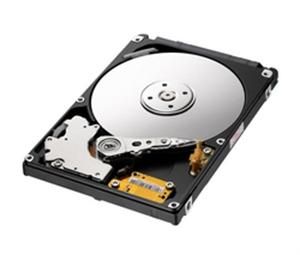 SEAGATE DISQUE DUR INTERNE MOMENTUS SPINPOINT M8 (ST1000LM024) - 1 TO