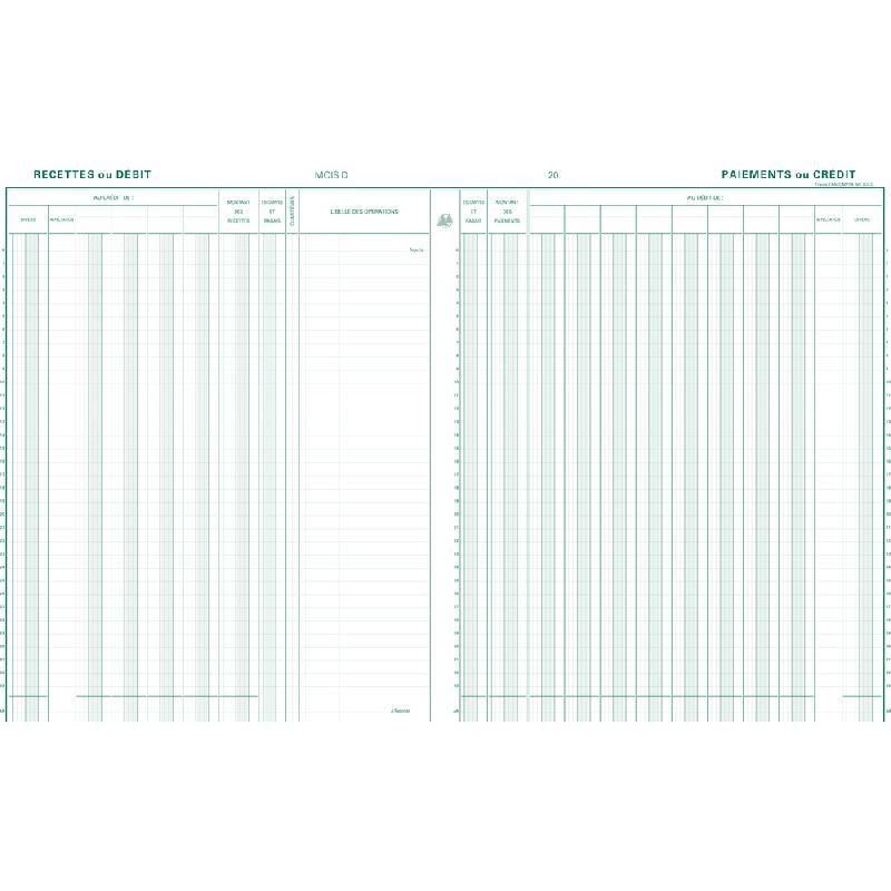 Piqûre 32x19,5cm Journal de caisse ou banque 5 débits