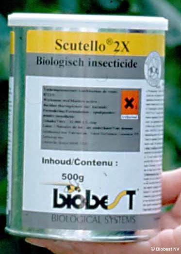 Biopesticide - scutello 2x_0