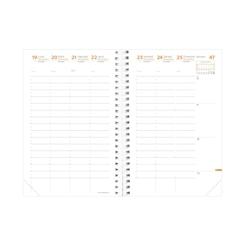QUO VADIS time&life large rep fr rose irisé elast - 615031q_0