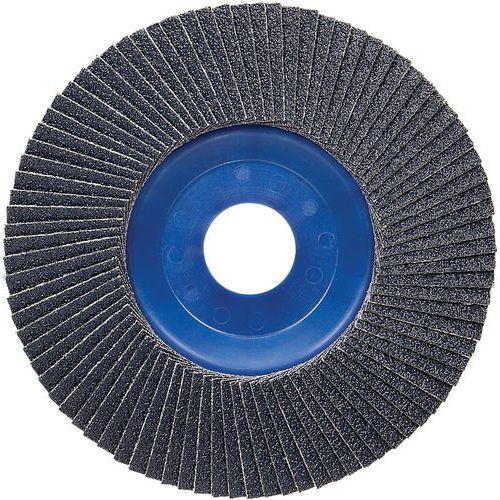 BOSCH 10 PLATEAU À LAMELLES X571 POUR MÉTAUX DIAMÈTRE 115 MM, GRAIN 60, DROIT