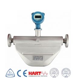 DMC300 - Débitmètres massiques Coriolis - Prisma Instruments & Gauge Bourdon France - Précision élevée ±0,1%_0