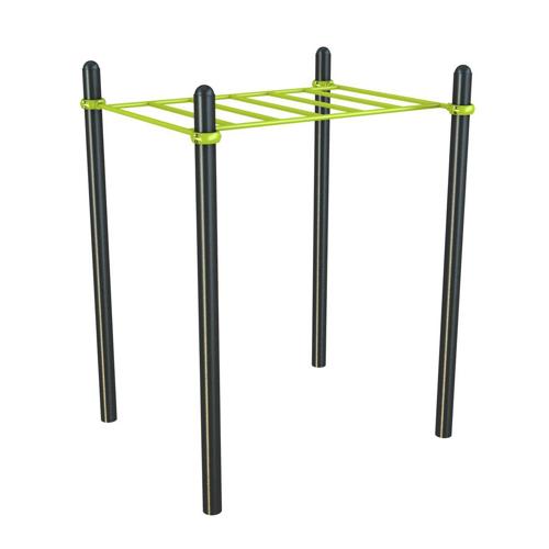 PONT DE SINGE DE STREET WORKOUT